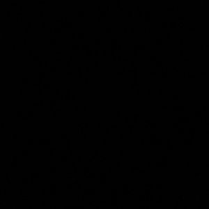 Meet your Posher, Anabel